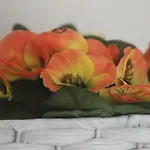 Anna - Maria 公寓 阿尔布费拉